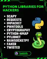 Python libraries for Hacking by @codegrills with original sound