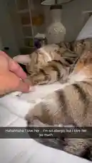 Fafa Fitness (@fafafitness_11) | Snapchat Stories, Spotlight & Lenses