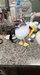 Preview for a Spotlight video that uses the Laughing Seagull Lens