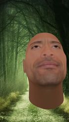 Preview for a Spotlight video that uses the The Rock Head Lens