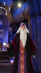 Preview for a Spotlight video that uses the Albus Dumbledore Lens