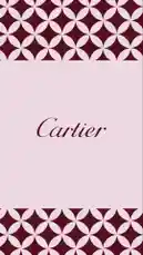 Cartier🪞✨ by @th4eb with original sound