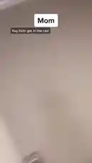 In this comedic family skit, Kallmekris portrays multiple characters in a humorous exchange about who gets to sit in the front seat of the car. The 'Mom' character tries to assign seats, leading to playful arguments with her 'kids,' including one who defiantly claims they're too small to fit. The scene escalates into a chaotic and funny family moment, culminating in a dramatic sound effect. by @kallmekris with kallmekris by Original Sound