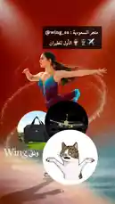 Watch as figure skater Wing ونق blends athletic grace with surreal humor. This captivating video features a stunning ice performance against a vibrant red backdrop, then transitions into a playful meme sequence with a confused cat and travel-themed imagery. It's a perfect example of creative digital storytelling. by @wing_sa with ☝🏽☝🏽☝🏽☝🏽☝🏽 by D