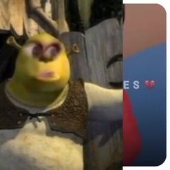 Preview for a Spotlight video that uses the Shrek meme face Lens