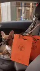 ELISA BUJ (@elisabuj) | Snapchat Stories, Spotlight & Lenses