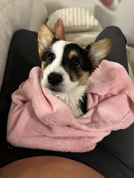 izzy rae :) (@luvizzyrae) | Snapchat Stories, Spotlight & Lenses