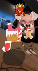 Preview for a Spotlight video that uses the Festive Dog Lens