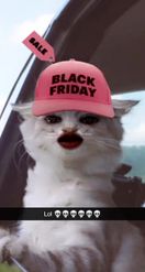 Preview for a Spotlight video that uses the Black Friday Cat Lens