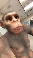 Preview for a Spotlight video that uses the Monkey 3D Lens