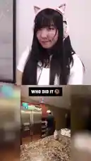 Eunchae I (@itseunchae) | Snapchat Stories, Spotlight & Lenses