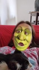 Preview for a Spotlight video that uses the Mutant Shrek Lens