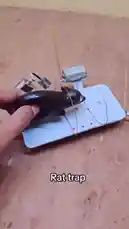 Blue Bxbyyy (@bluebxbyyy) | Snapchat Stories, Spotlight & Lenses