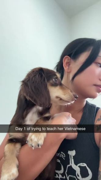 Cattien Le (@cattientle) | Snapchat Stories, Spotlight & Lenses
