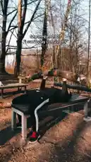 GYM MOTIVATION by @leonr47 with original sound