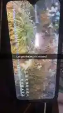 Video by @authority421 with original sound