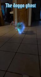 Preview for a Spotlight video that uses the Spooky Pet Lens
