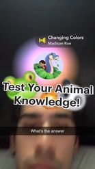 Preview for a Spotlight video that uses the Animal Expert Lens