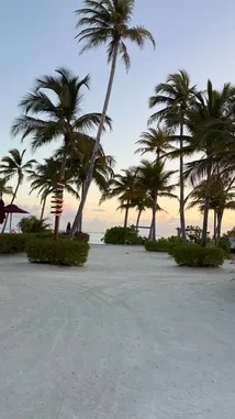 Layla Dream (@layladream_05) | Snapchat Stories, Spotlight & Lenses