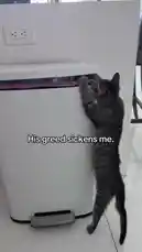 Jadyn Smith (@jadyn_smith11) Snapchat Stories, Spotlight & Lenses