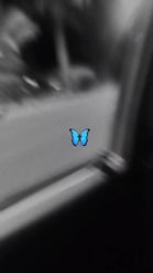 Preview for a Spotlight video that uses the Butterfly X BW Lens