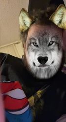 Preview for a Spotlight video that uses the Wolf Mask Lens