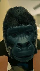 Preview for a Spotlight video that uses the Gorilla Lens