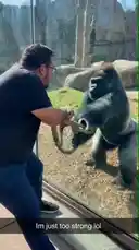 Video by @mrvechain with Original Sound by mrvechain