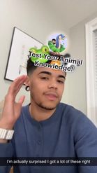Preview for a Spotlight video that uses the Animal Expert Lens