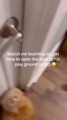 Spotlight content by a Snapchat user