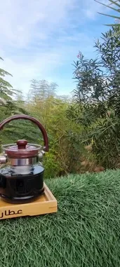 Video by @shmooolnet with shmooolnet by Original Sound