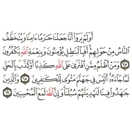 Video by @d3erm9 with original sound