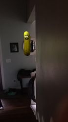 Preview for a Spotlight video that uses the Jumpy Pickle Lens