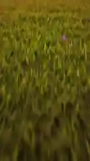 Video by @toursgateksa with original sound