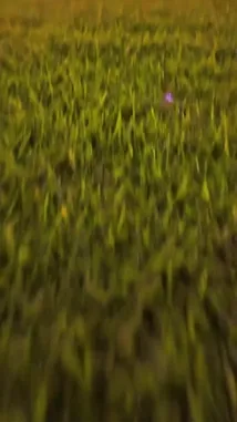 Video by @toursgateksa with original sound