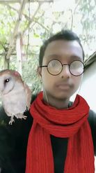 Preview for a Spotlight video that uses the Winter Owl Lens