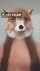 Preview for a Spotlight video that uses the Fox Head Lens