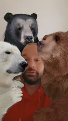 Preview for a Spotlight video that uses the 3 Little Bears Lens