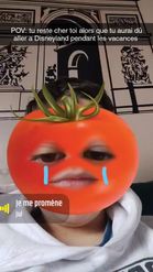Preview for a Spotlight video that uses the Crying Tomato Lens