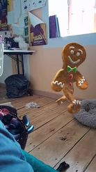 Preview for a Spotlight video that uses the Gingerbread Dancer Lens