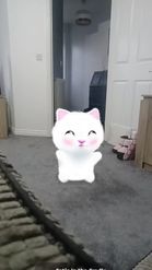 Preview for a Spotlight video that uses the Dancing Cat  Lens