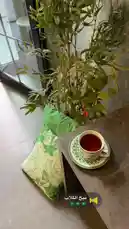 Experience a serene moment in this beautifully styled indoor setting. A steaming cup of tea rests on a decorative saucer beside a lush potted plant and vibrant green cushions. The scene captures the essence of modern home decor and the simple pleasure of enjoying a quiet break. by @om.louraa with نبح الكلاب by 🇸🇦🇸🇦🇸🇦