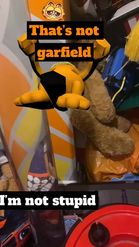 Preview for a Spotlight video that uses the Backflip Garfield Lens