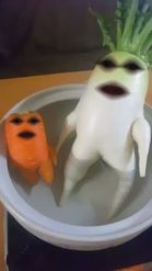 Preview for a Spotlight video that uses the vegetable bath Lens
