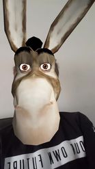 Preview for a Spotlight video that uses the Donkey Lens