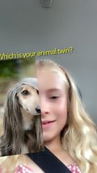 Preview for a Spotlight video that uses the your animal twin Lens