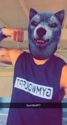 Preview for a Spotlight video that uses the WOLF FACE Lens