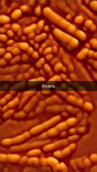 Preview for a Spotlight video that uses the Beans Lens
