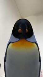 Preview for a Spotlight video that uses the Penguin-Face 3D Lens