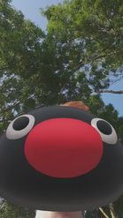 Preview for a Spotlight video that uses the Pingu Lens